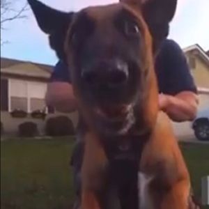 Meet your Posher, Joe